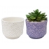 ACTÍVA New Blackjack White Earthenware Clay™, 4 lb (1.8 kg) Sample